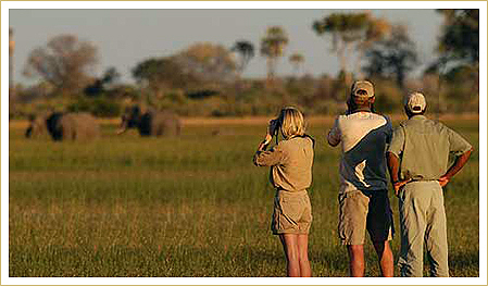 kenya tanzania family holiday safaris and adventures