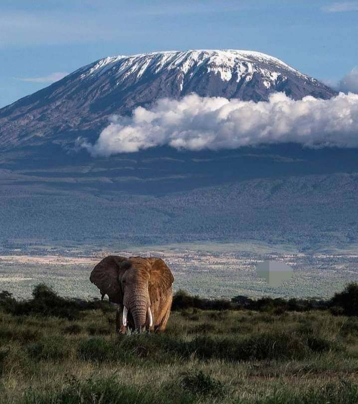 Volcanic ridges of the Rift Valley.