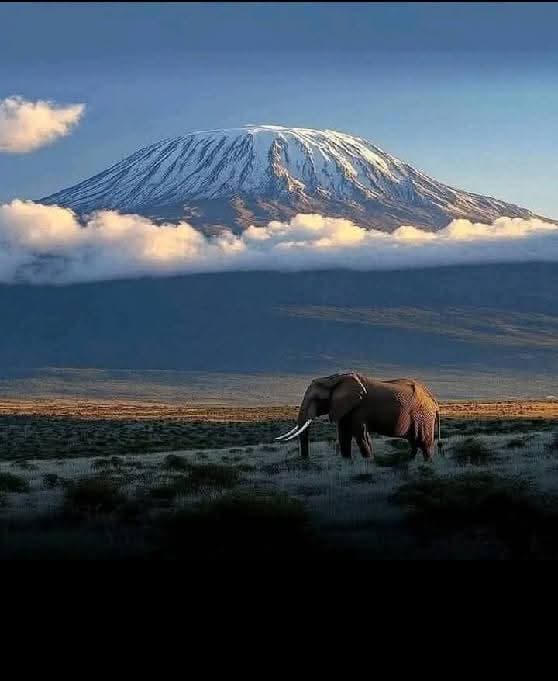 Glacial tarns above the Mt Kenya treeline.