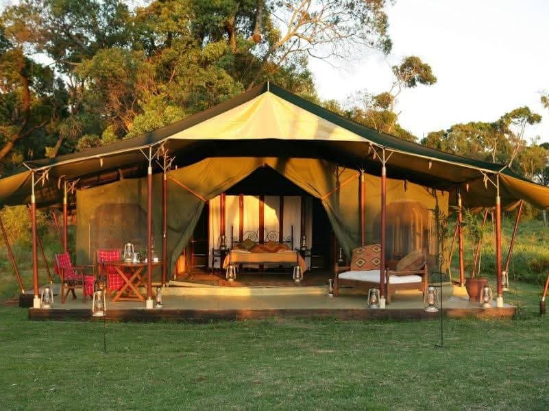 8 Days Kenya and Tanzania Lodge Safari