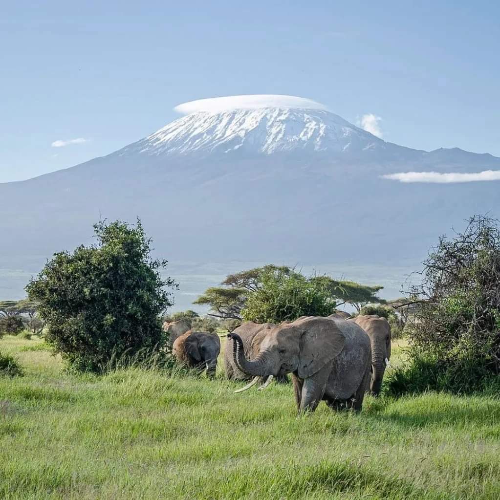 Aberdare National Park safari destination
