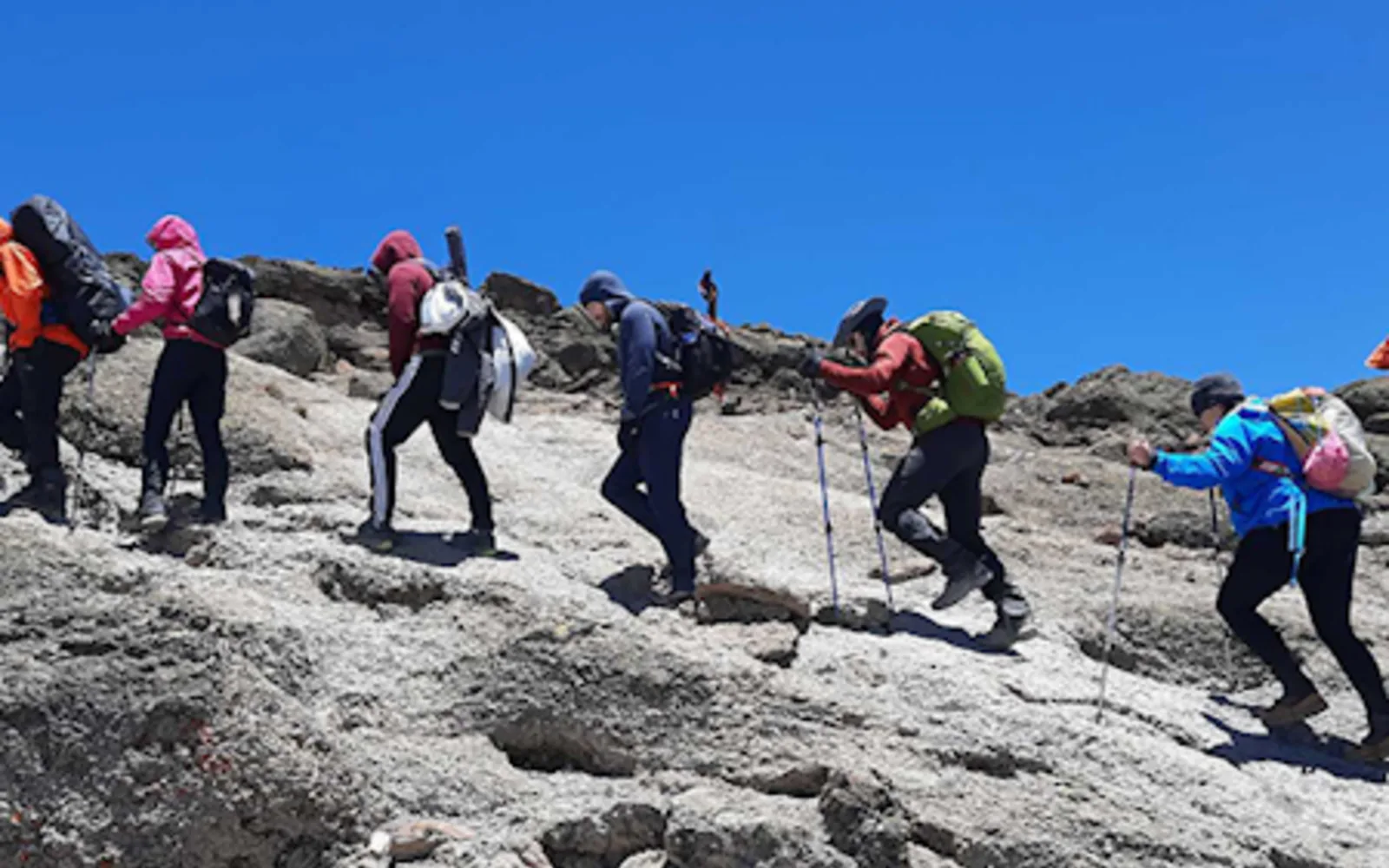 Kilimanjaro Day Hike: Marangu Gate to Mandara Hut