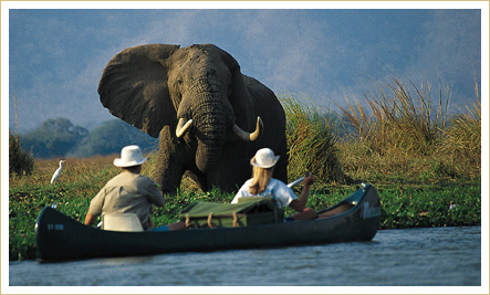 family holidays tours and safaris