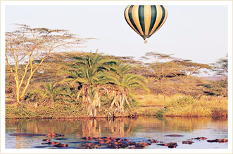 family holidays tours and safaris